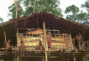 Vooraanzicht Korowai boomhuis