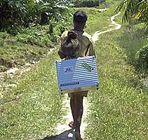 Rimowa - suitcase in New Guinea