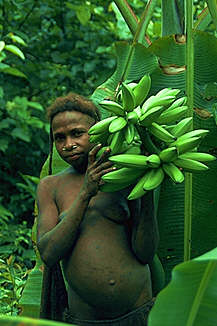 Korowai women with bananas for grilling