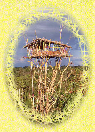 Treehouse